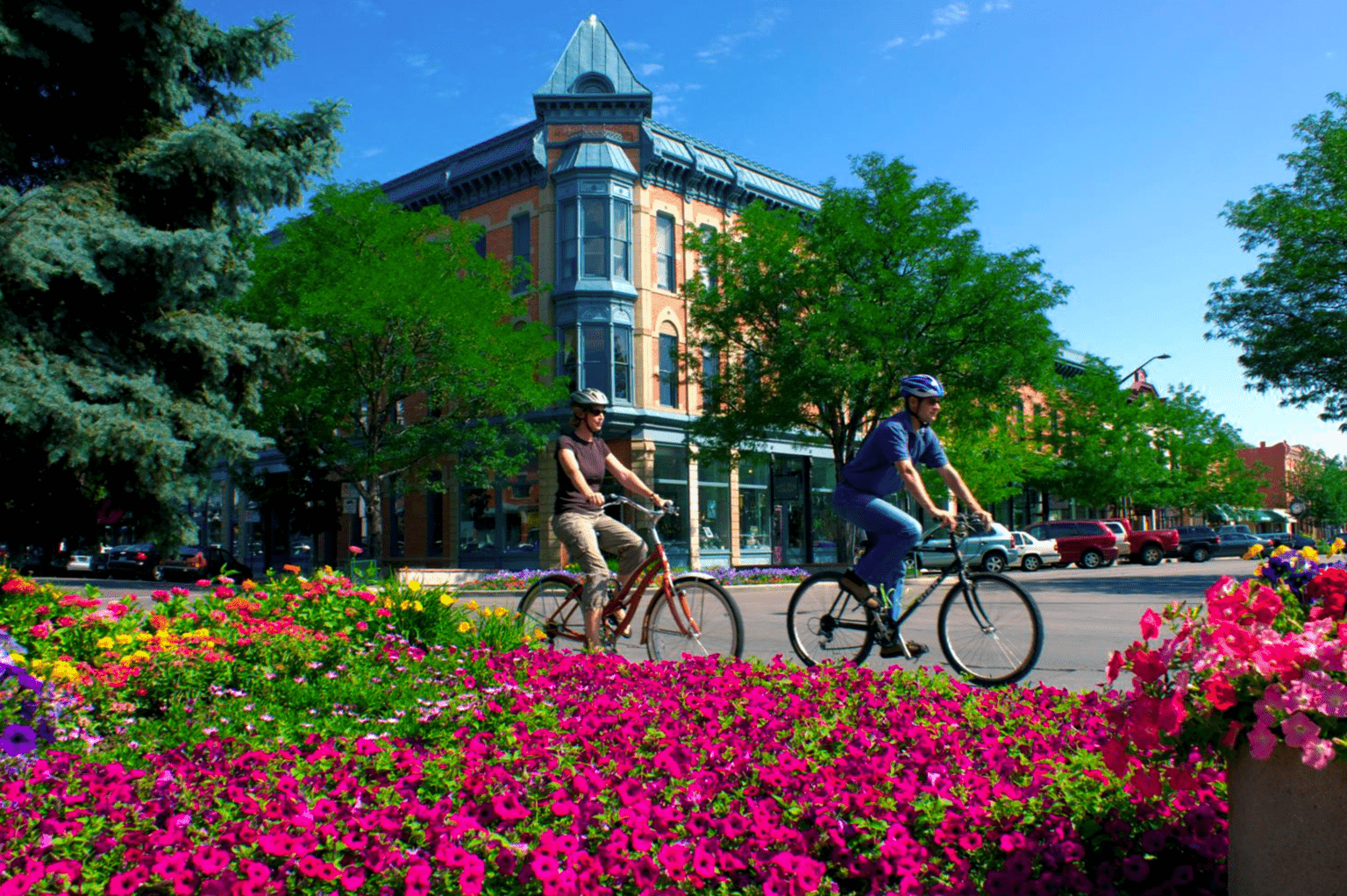 people biking by flowers