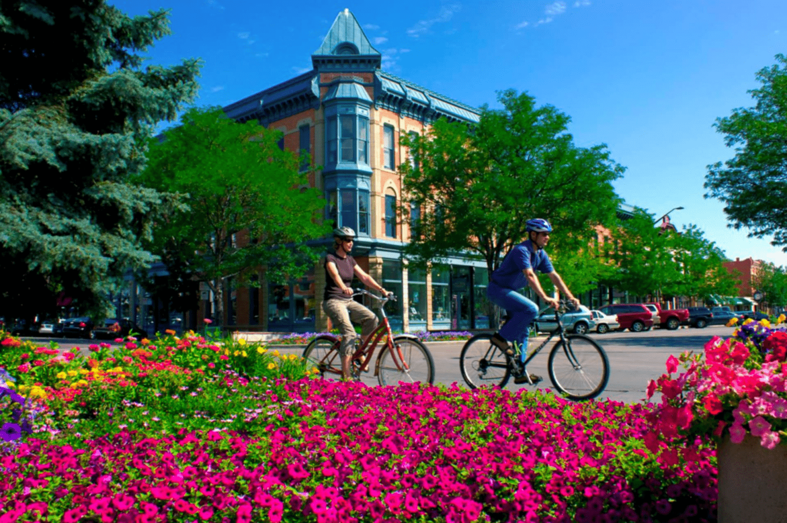 people biking by flowers