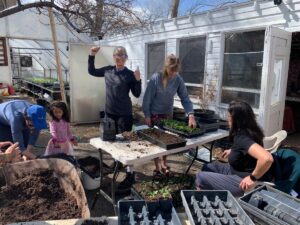 group of friends planting vegetable seeds for greenhouse starts