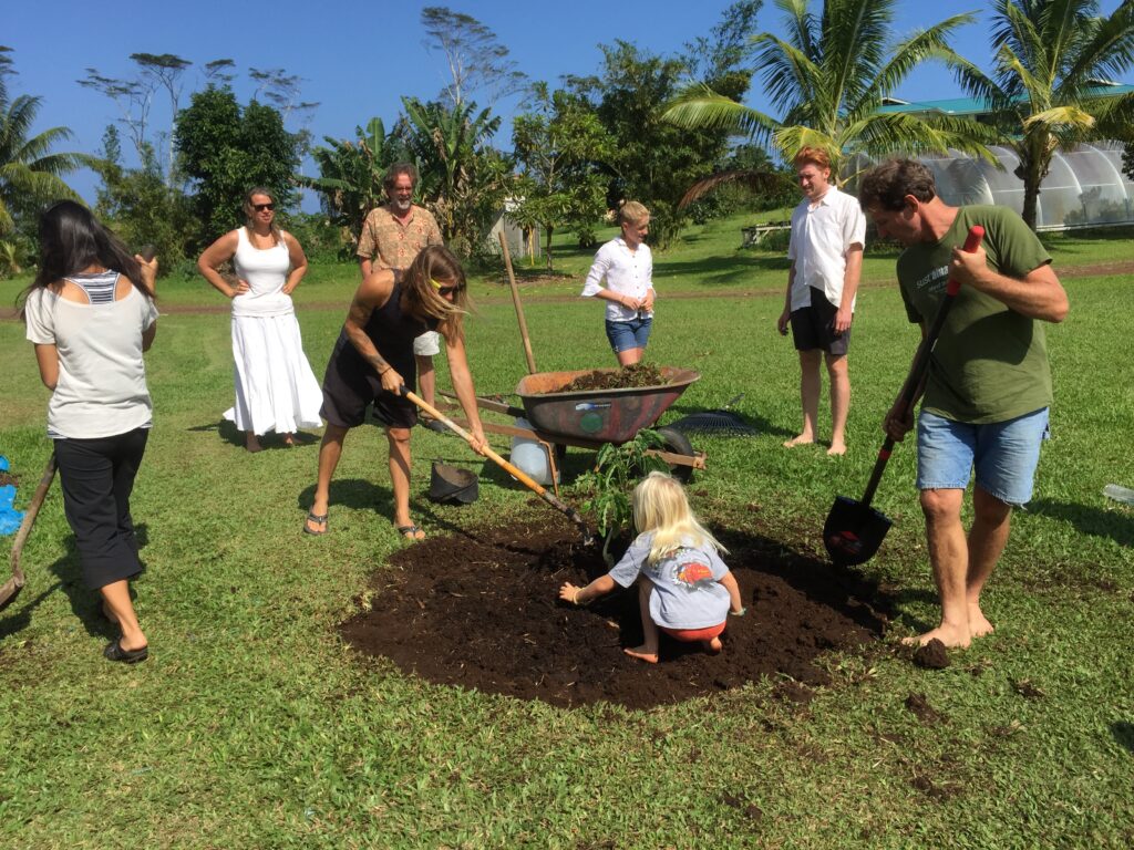 People planting a tree