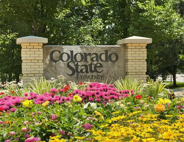 CSU-Sign