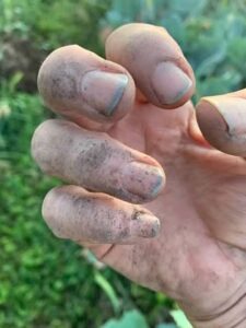 00 hlxrcTUroxvpzFq9qsnMqFui38Pc0n5XSWxtysO7MzGQ8UM6tdLZFcytJz2pNEYZrnHjCyIZu59oV2we kMG9A