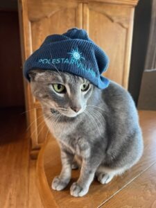 Cute cat wearing Polestar Village snow hat