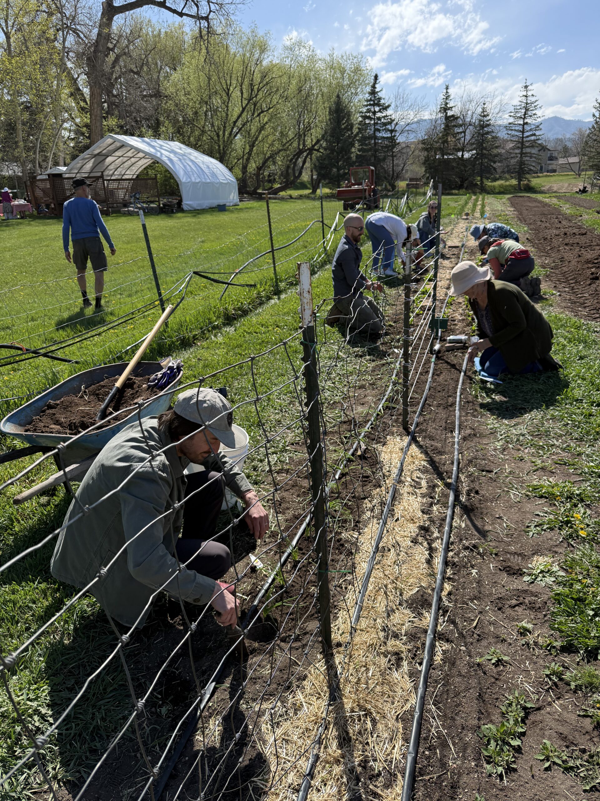 folks working the int garden