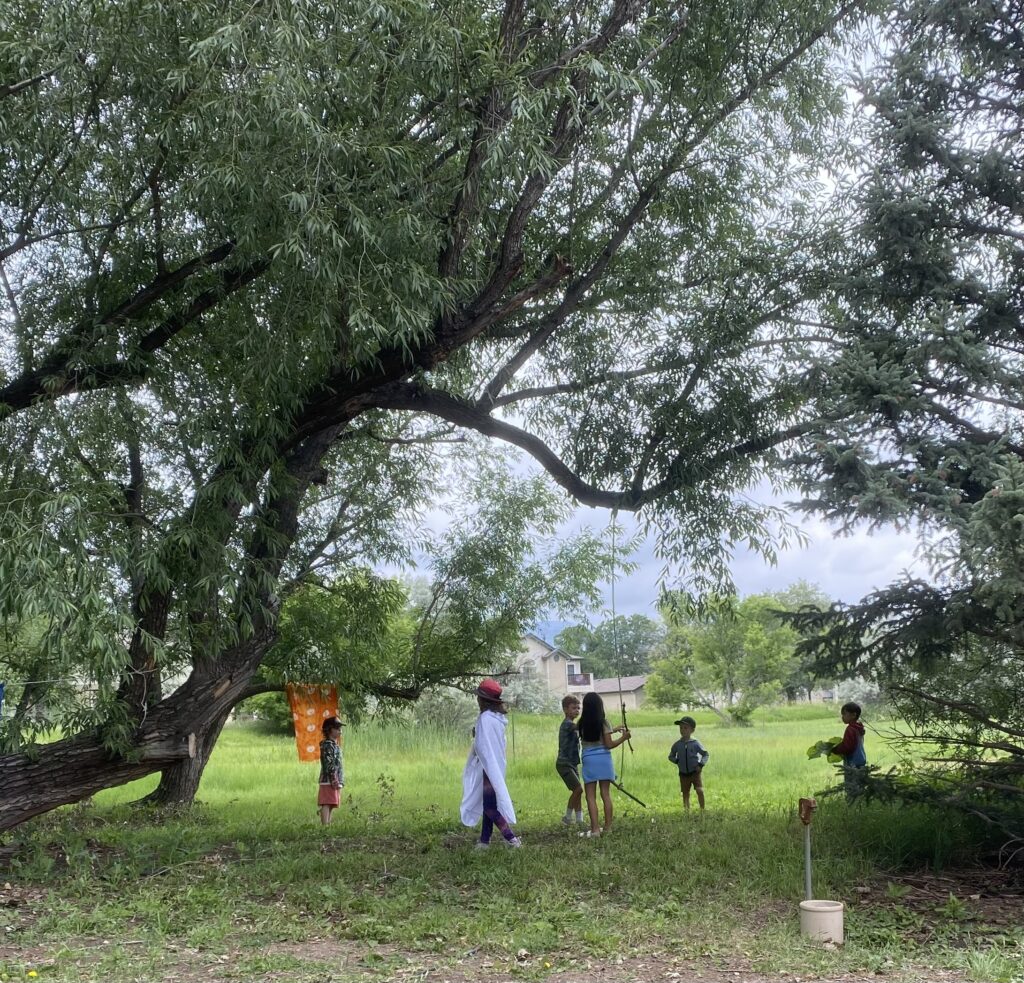 children playing on a rope swing under a tree