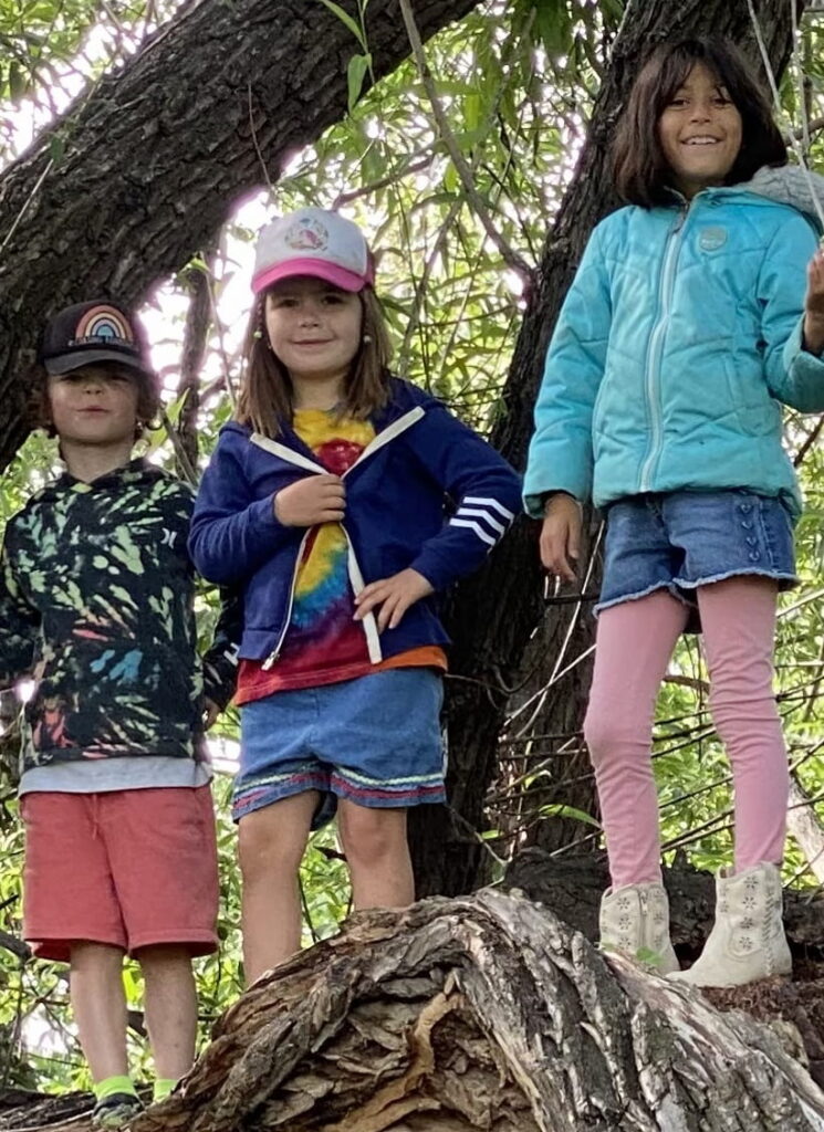 kids-standing-on-a-tree-trunk