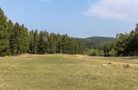 Lake Tumbleson camping meadow